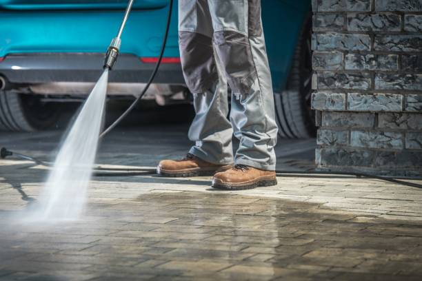 Best Spring Cleaning  in Tavernier, FL